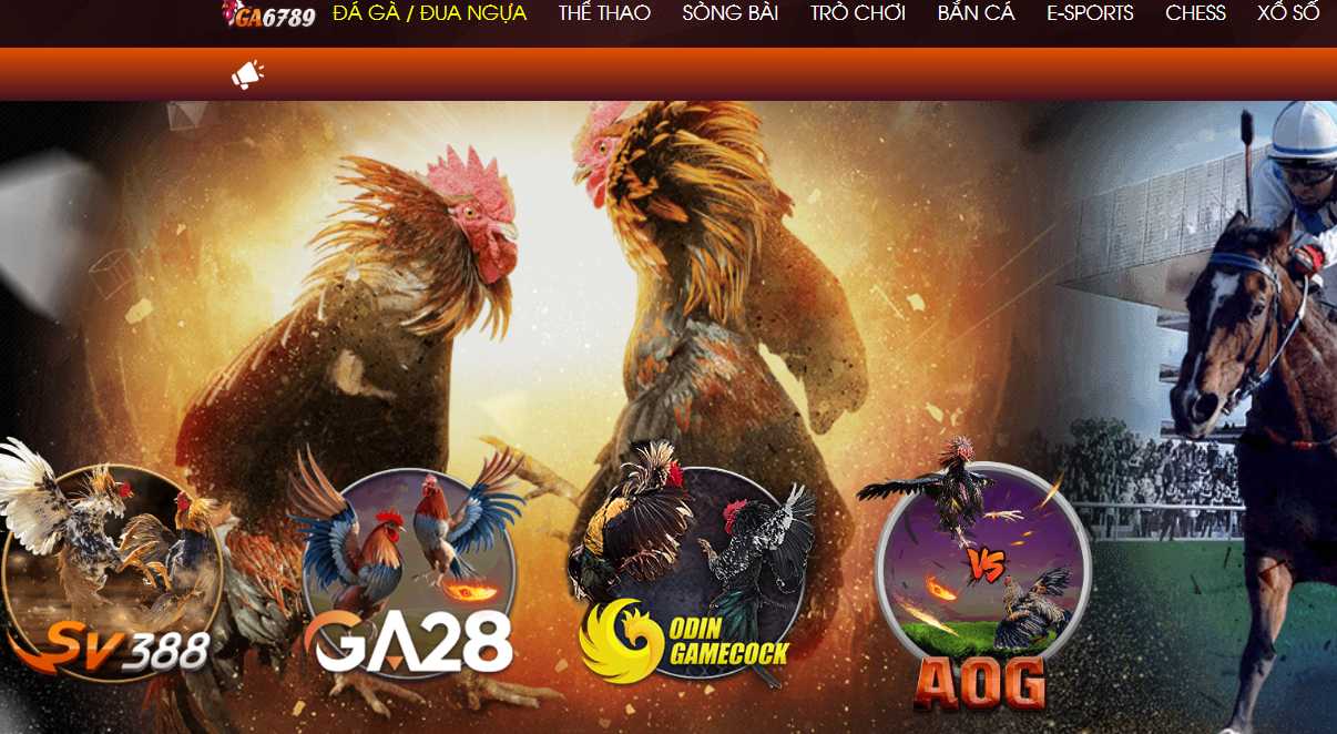 Lựa chọn sân chơi uy tín khi muốn cá cược đá gà online