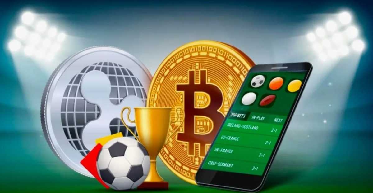 Cá cược thể thao chơi an toàn cần chọn nhà cái uy tín