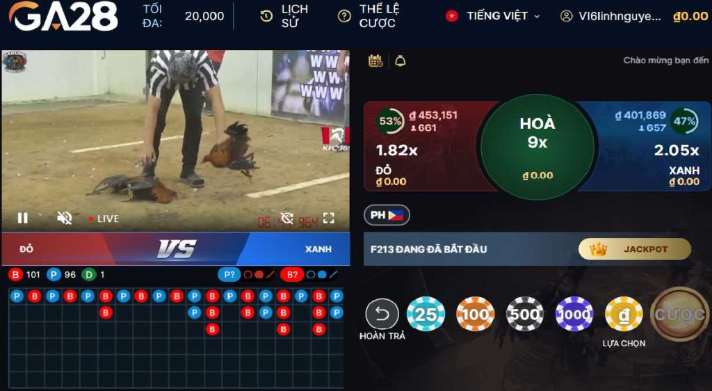 Theo dõi trận đấu và chọn kèo cược đá gà để vào tiền